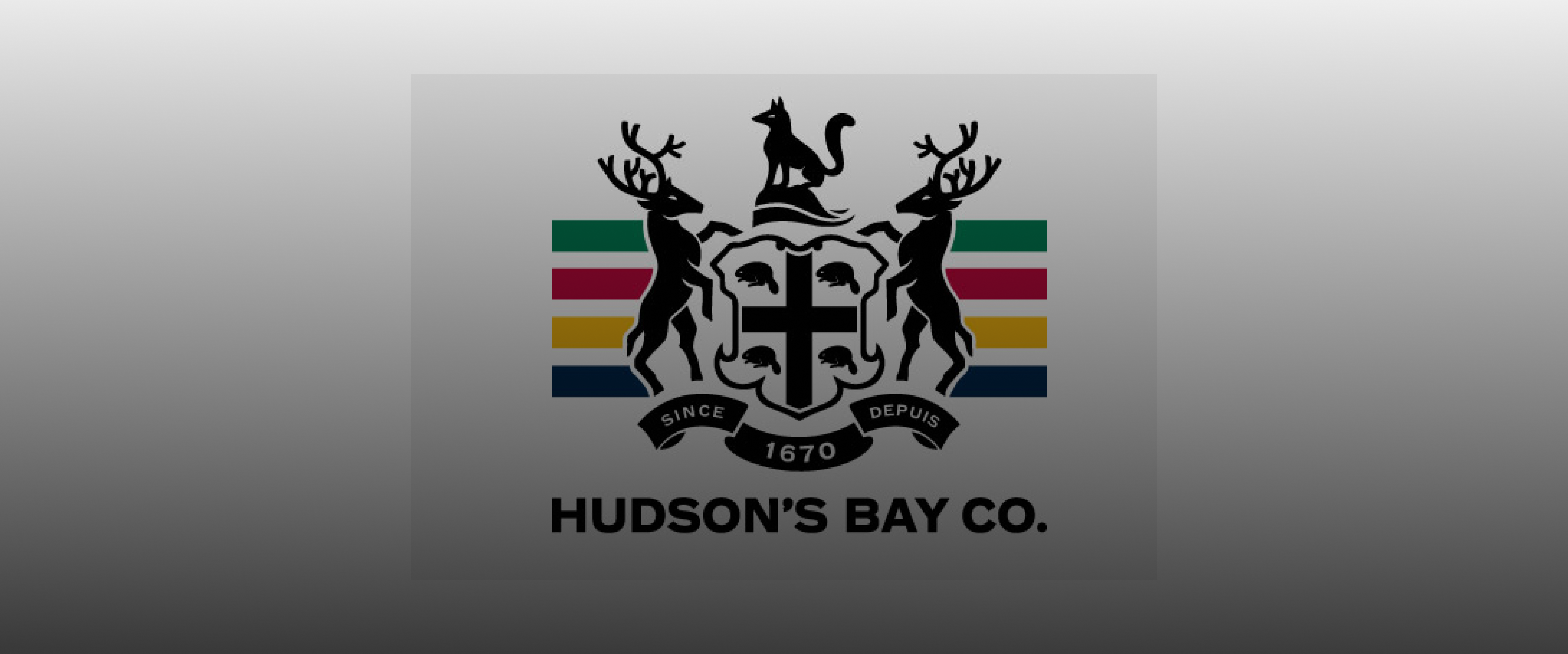 Hudson's bay case study banner image